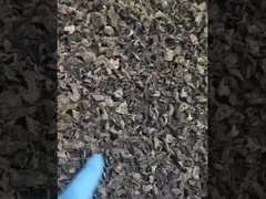 Eetbare Natuurlijke Zwarte de Paddestoelpaddestoel van de paddestoel In het groot Droge Zwarte Paddestoel