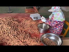 Natuurlijke specerijen en kruiden kaneelstok Cassia kaneel
