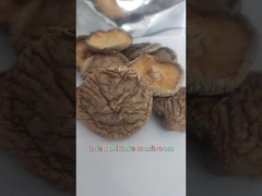 Premium plat gedroogde shiitake paddestoelen rijk aan eiwitten