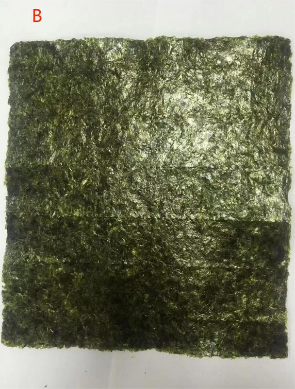 Geroosterd zeewier Alga Yaki Sushi Nori Gold Green Voor Aziatische keuken Restaurant
