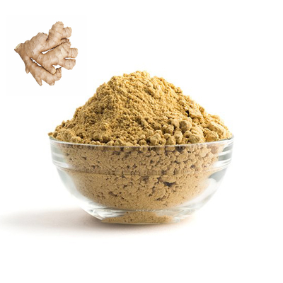 10% vochtigheid Organisch Droog Netwerk 80 - 100 van Ginger Powder