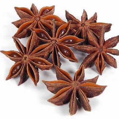 Natuurlijke Droge Kruiden en Kruidenster Anise For Cooking Meat