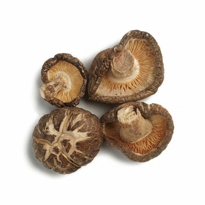 Ontwaterde Droge Shiitake schiet 45CM GLB voor Restaurant als paddestoelen uit de grond