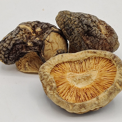 Dagelijkse maaltijden Bruine gedroogde shiitake paddestoelen op een droge plaats bewaard