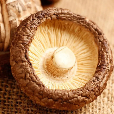 Droge shiitake paddenstoelen met een hoge eiwitgehalte met een paddestoelsmaak en texturele kwaliteit