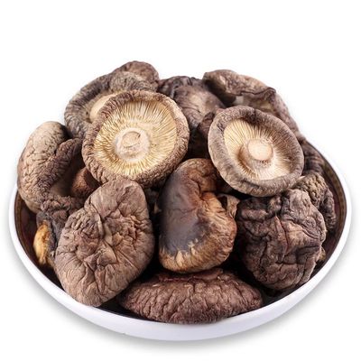 Vlak gedroogde bruine paddenstoelen met een hoog eiwitgehalte