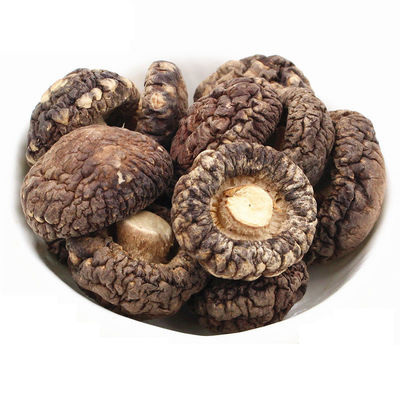Bruine gedroogde platte shiitake paddenstoel met een intense paddenstoelgeur