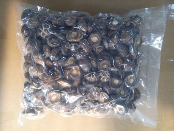 Gezonde Droge Shiitake-Paddestoel11% Vochtigheid Geen Buitenlandse Geuren