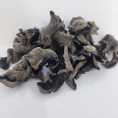 AD Droge zwarte schimmel Gedroogde schimmel Champignon